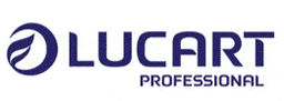 Lucart Professional